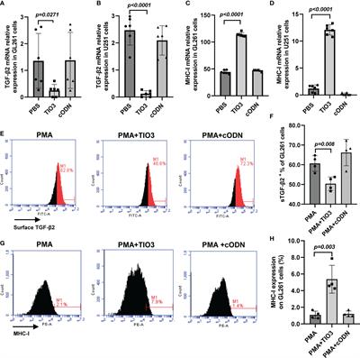 Incorporation of a TGF-β2-inhibiting oligodeoxynucleotide molecular adjuvant into a tumor cell lysate vaccine to enhance antiglioma immunity in mice